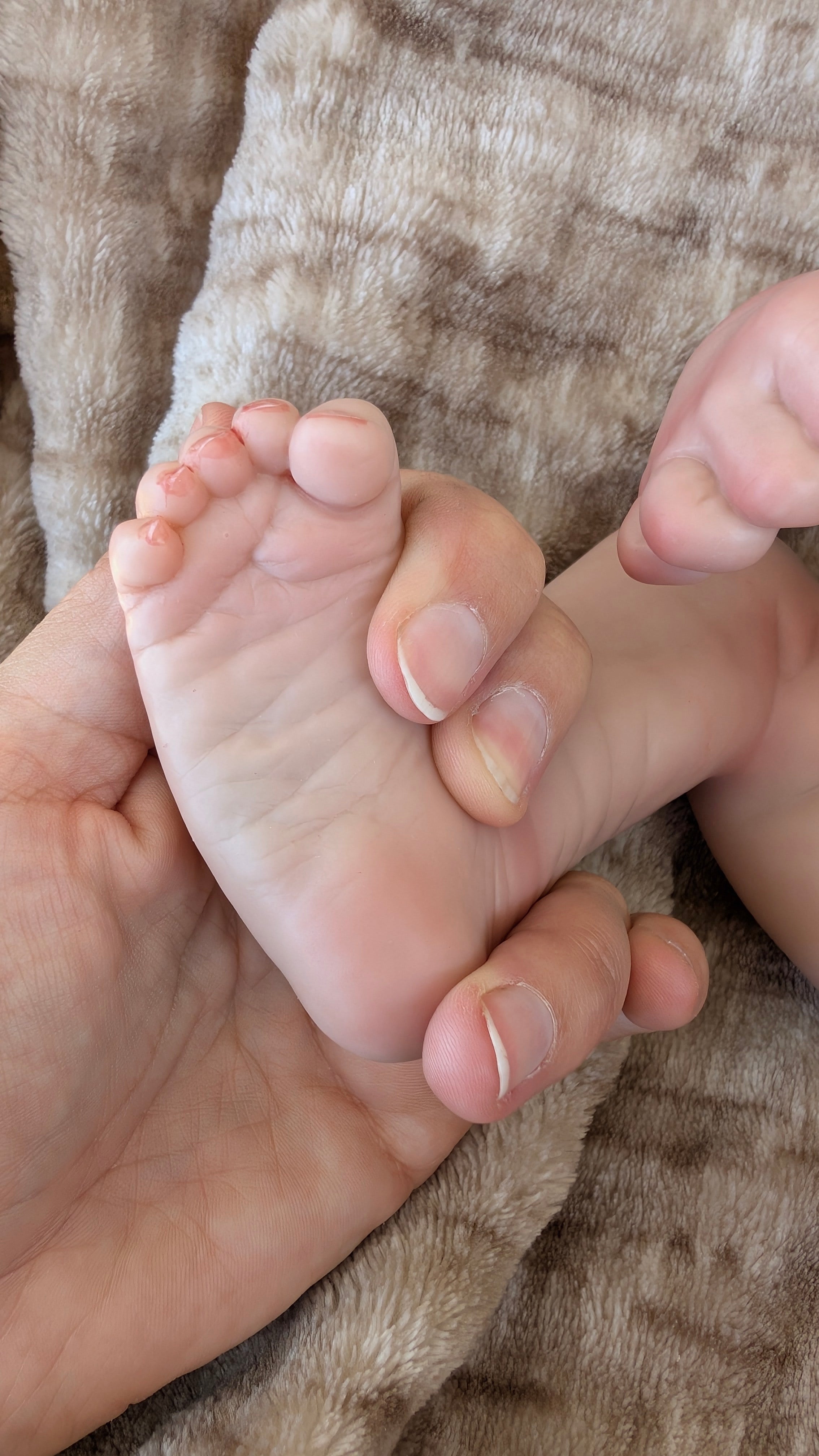 pighe-realistici-sotto-piedi