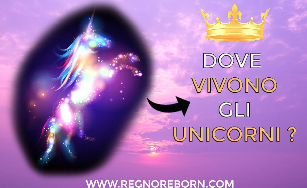 dove-vivono-gli-unicorni